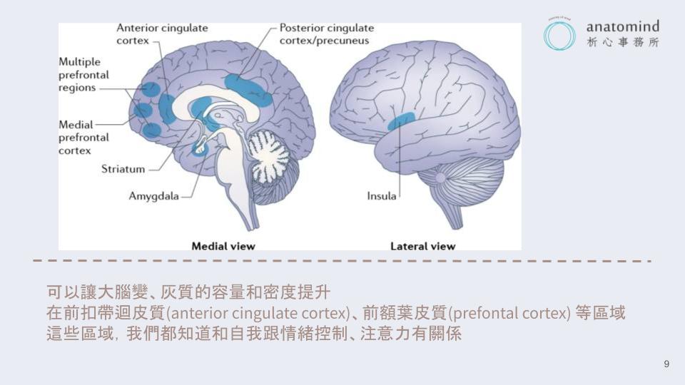 正念和大腦