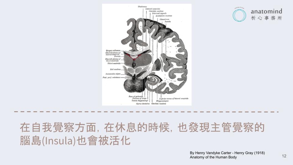 正念和覺察